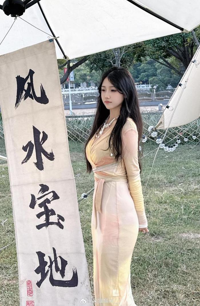 不呆猫推集，将每一张画面都变成了艺术品