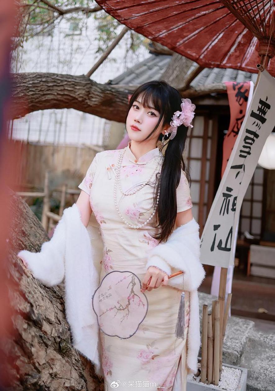 甜品，蛋糕，糖果...简直是甜到爆！不呆猫路人照的图包来袭