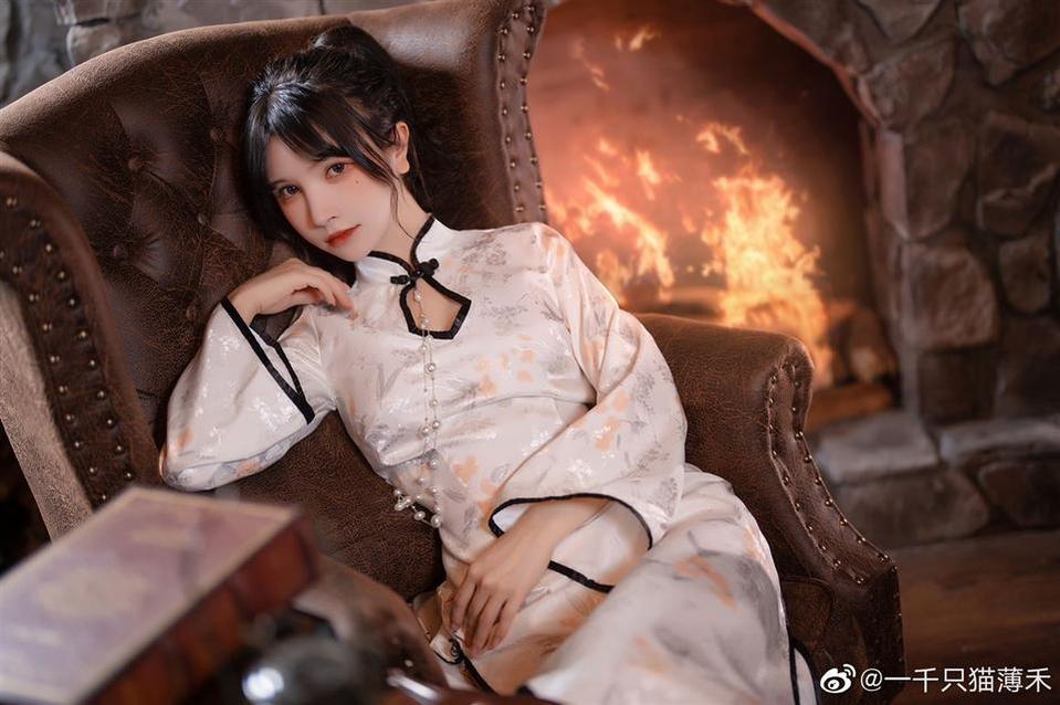 “一千只猫薄禾卖图”摄影精选，美猫美景尽在眼前