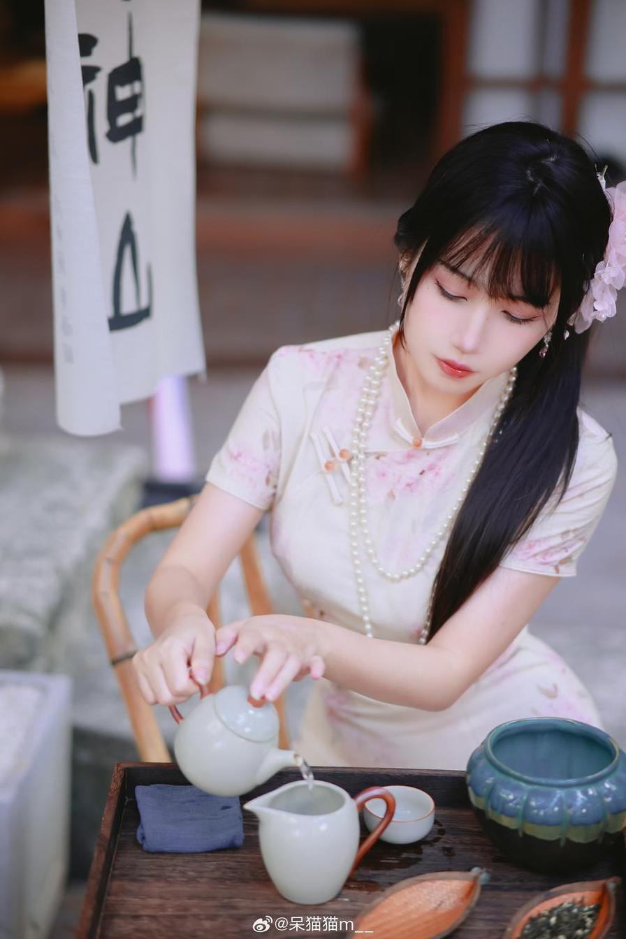 超美不呆猫高清图片，让你惊叹于自然之美