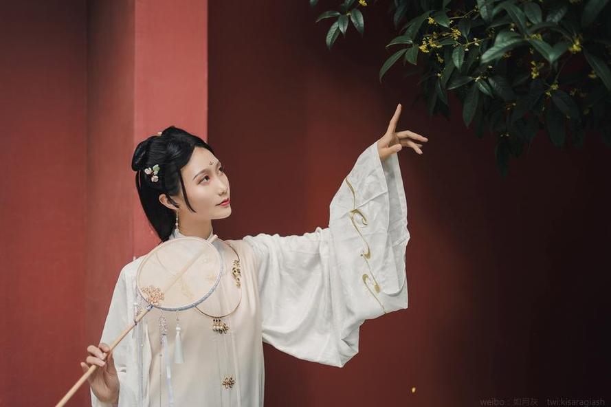如月灰蓝白竞泳，摄影大师必备经典之作。