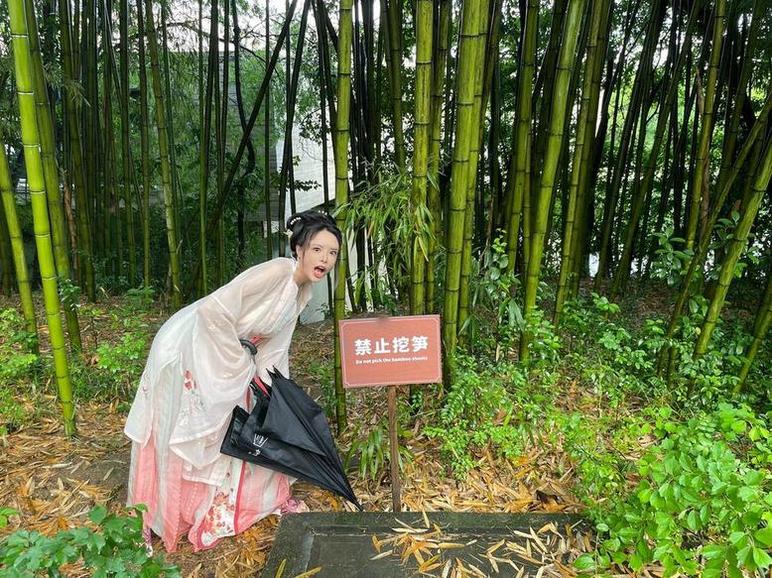 秋和柯基透明兔女仆带你走进梦幻仙境，独一无二的cos作品